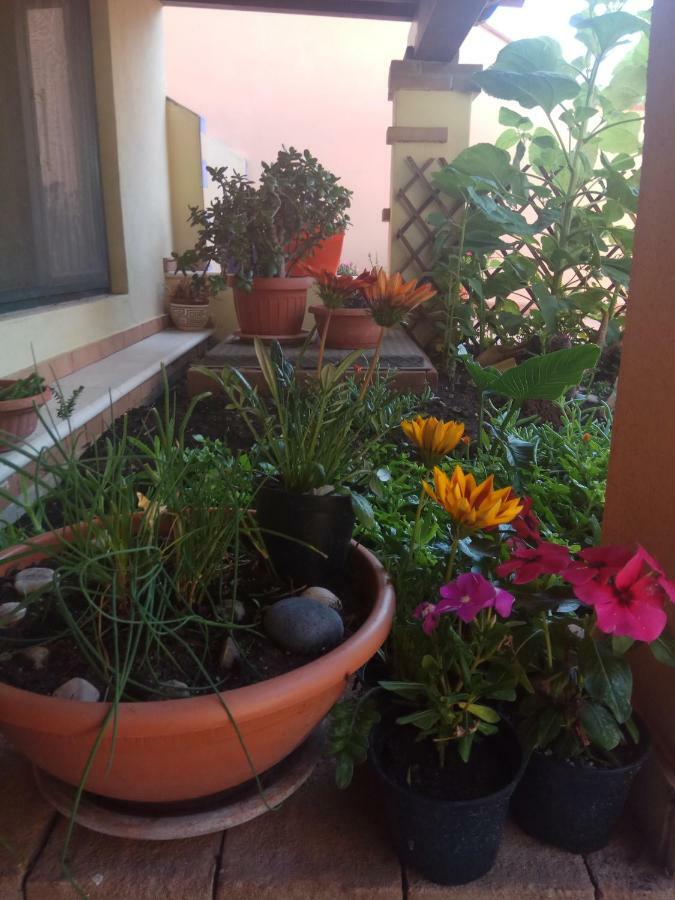 Appartamento In Zona Residenziale Орозеи Екстериор снимка